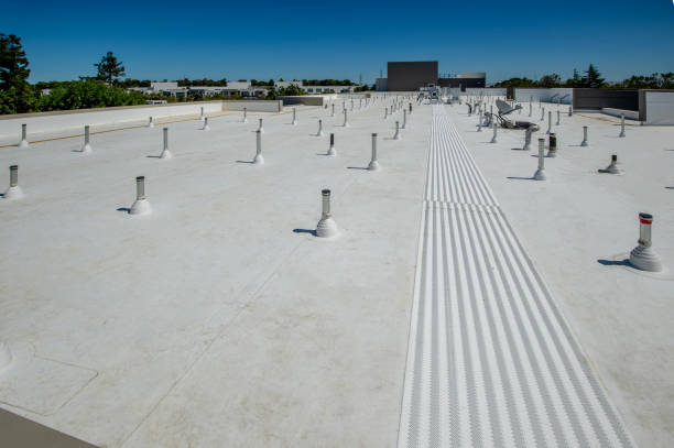 Best Slate Roofing  in Naples, TX